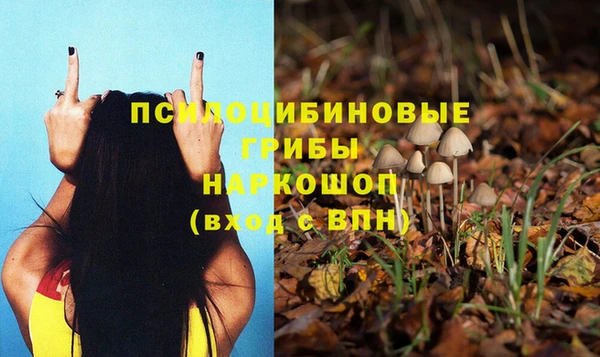 jwh Белокуриха